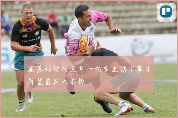 道苏姆续约五年一亿多里德下赛季有望首发大前锋